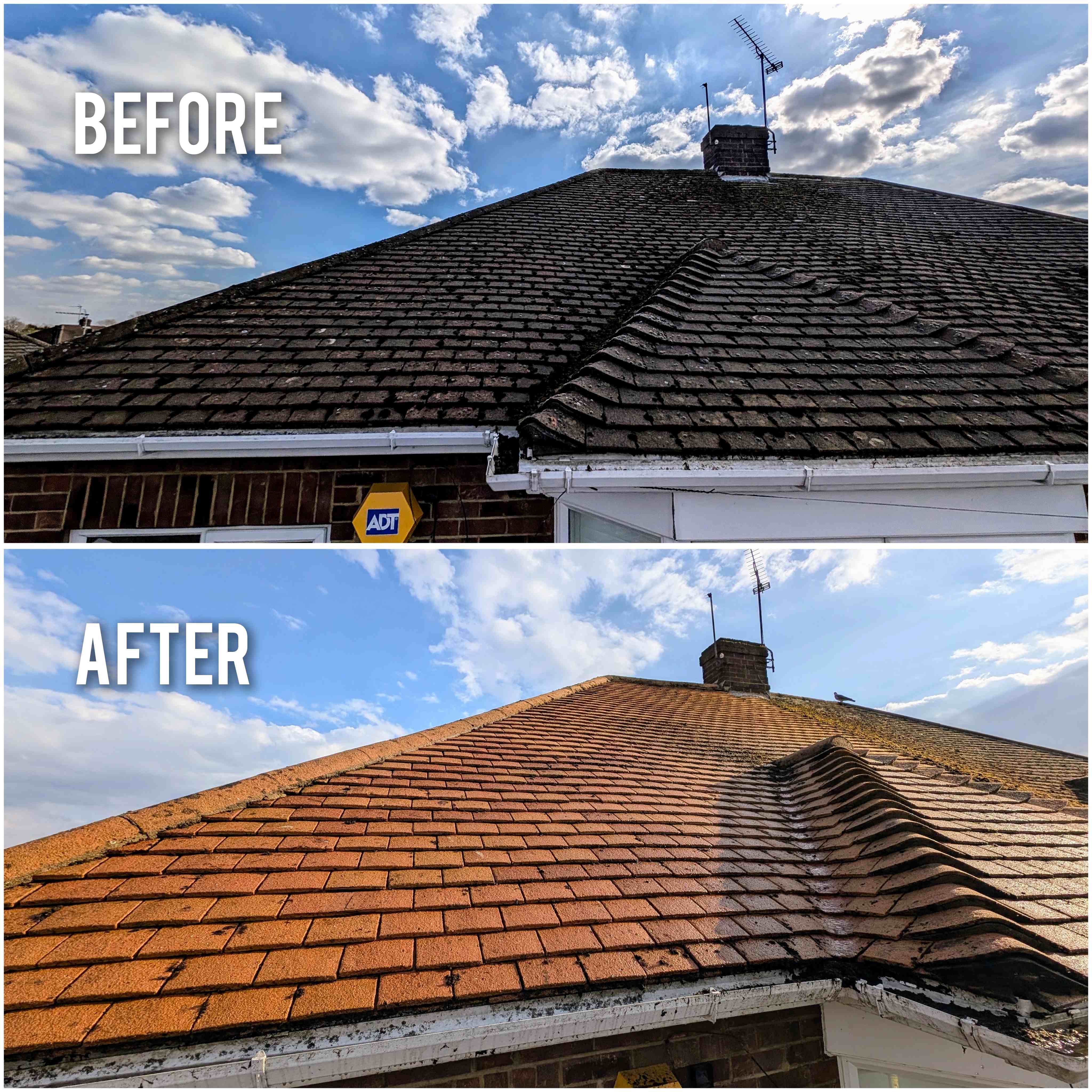 Window cleaning project